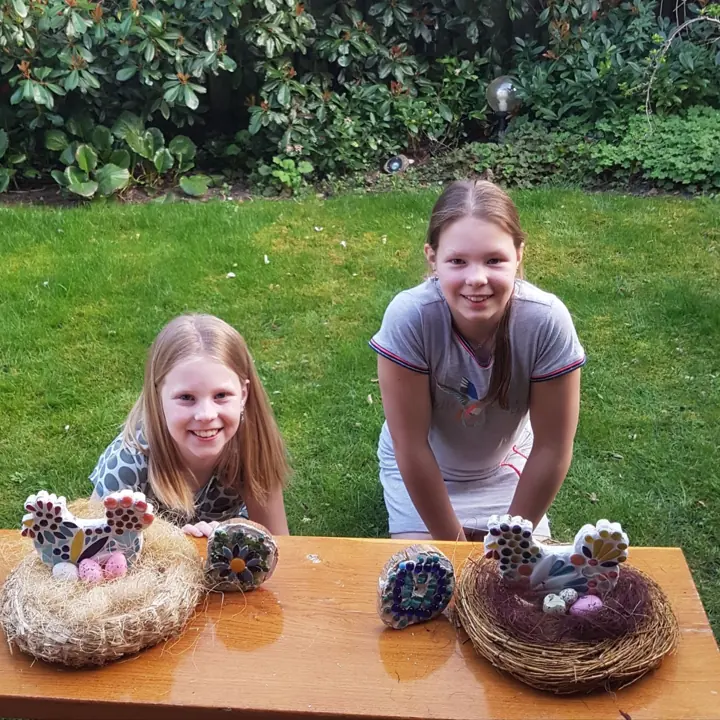Mozaïekkippen in een nestje