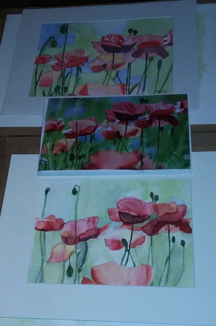 Klaprozen in aquarelverf