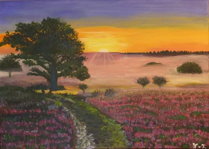 Avondlucht boven de heide