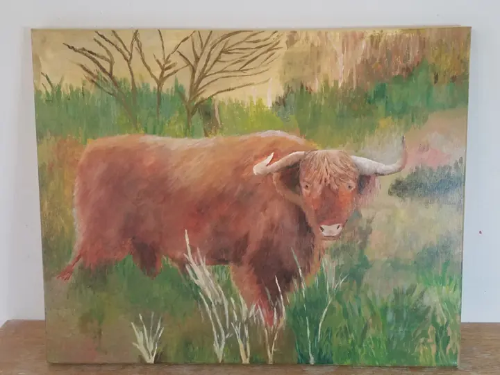 Schotse hooglander in acrylverf